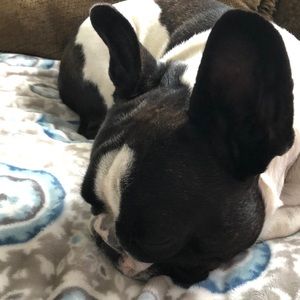 Meet your Posher, Kate